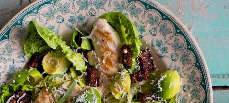 Cæsarsalat med kylling og rugbrødschips