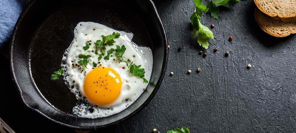 Hvor (u)sundt er det at spise kød, mælk & æg?