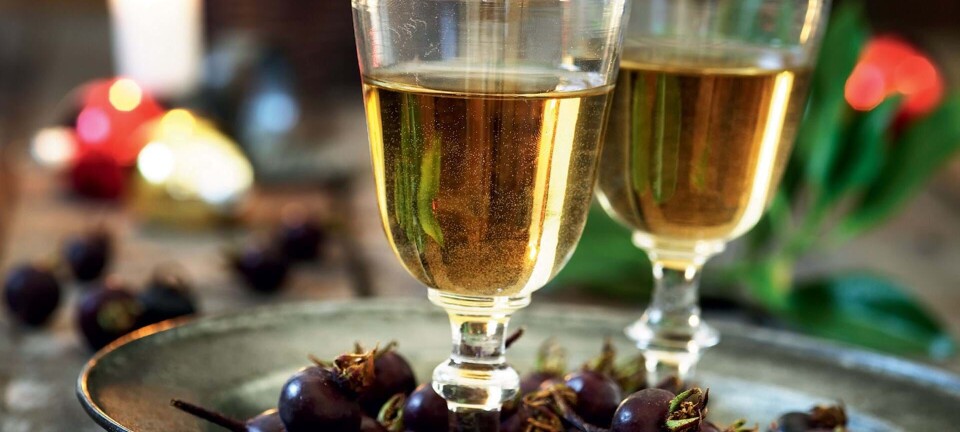 Snaps med slåen og snaps med klitrose