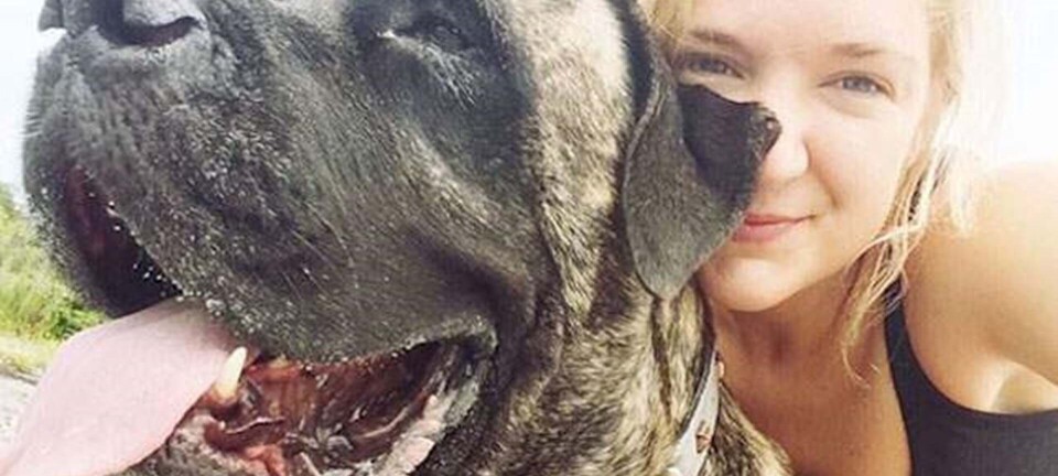 Da Laurens hund fik uhelbredelig kræft, tog hun den med ud på eventyr