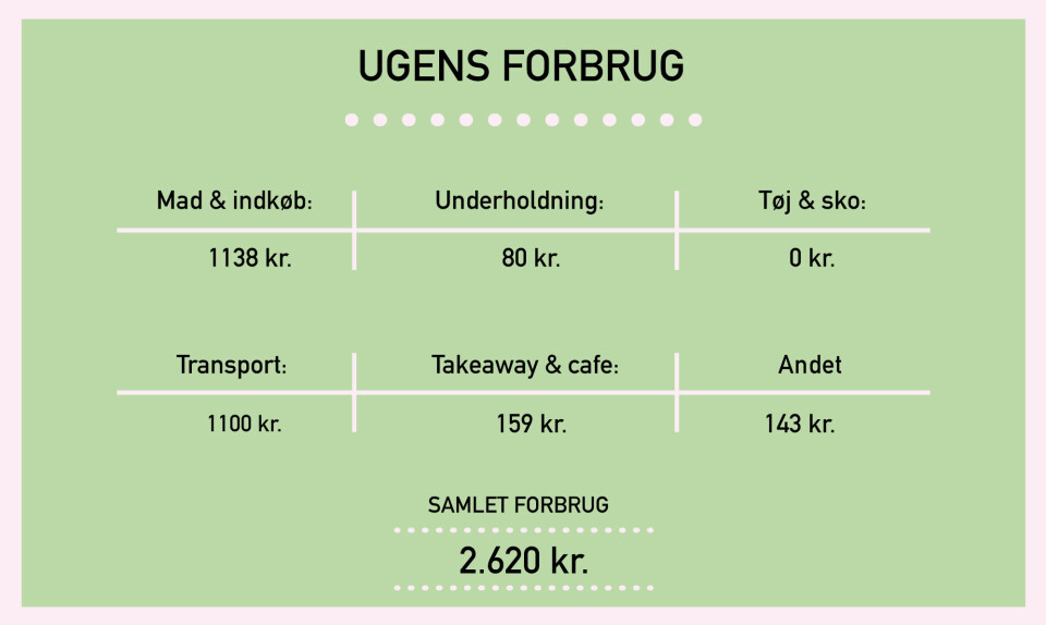 pengedagbog_INGEbreakdown.jpg
