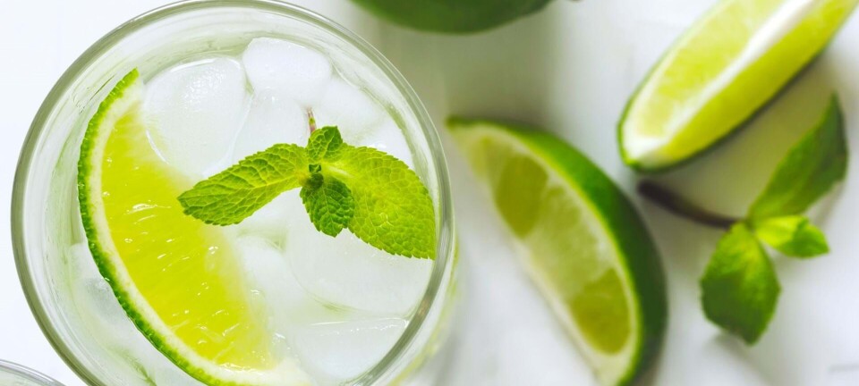 Let & lækkert: Sådan laver du den bedste Mojito-lemonade