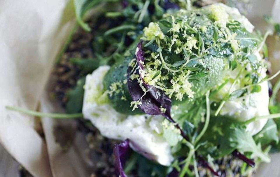 Raw avocado-mozzarella sandwich