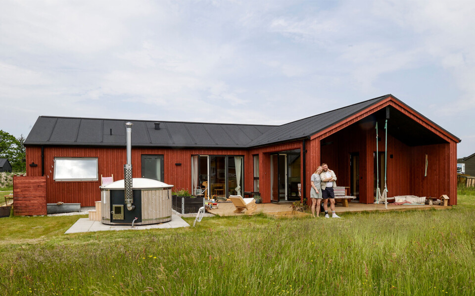 Sommerdrømme.jpg
