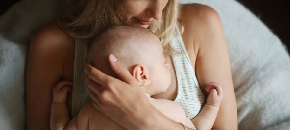 Leder du efter gratis babypakker? Få den samlede oversigt her