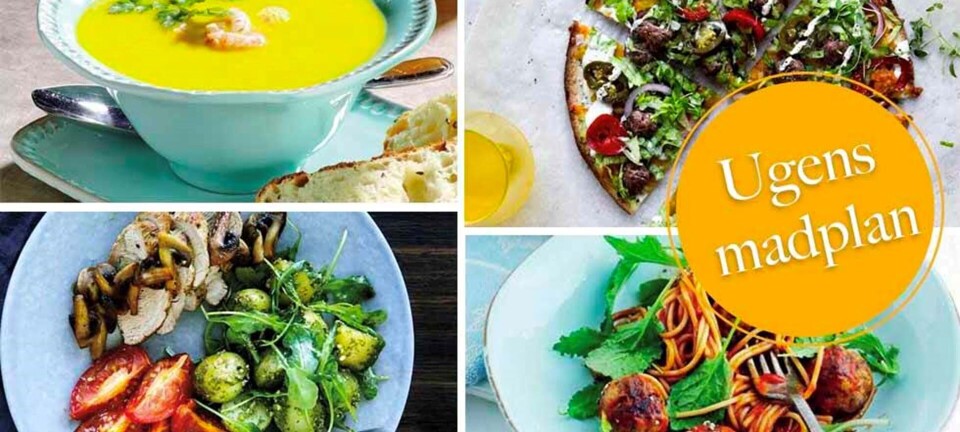 Cremet græskarsuppe, pasta a la Lady & Vagabonden & nem tortilla pizza: Her er ugens madplan