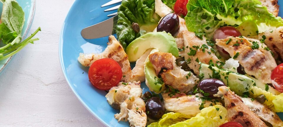 Middagssalat med grillstegt kyllingebryst og avocado