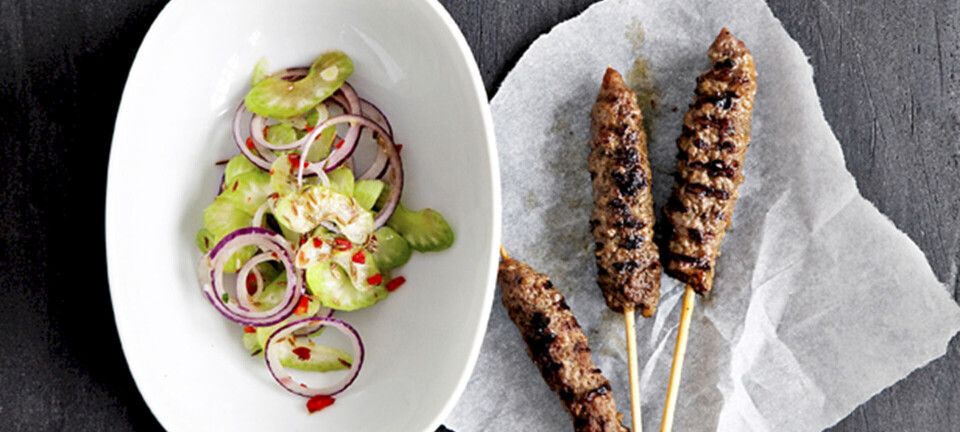 Seekh kebab med løgsalat og agurkedip med mynte