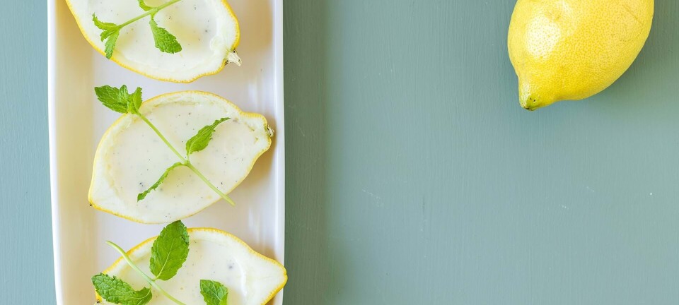 Lemon Posset: Lav den smukkeste dessert i citronskal