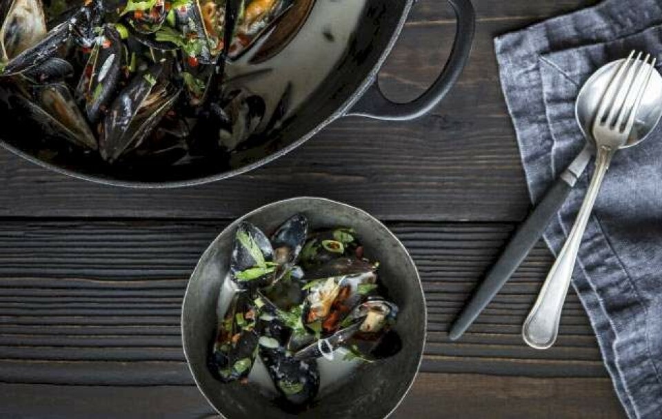 Thairetter, der får mundvandet til at løbe i vand