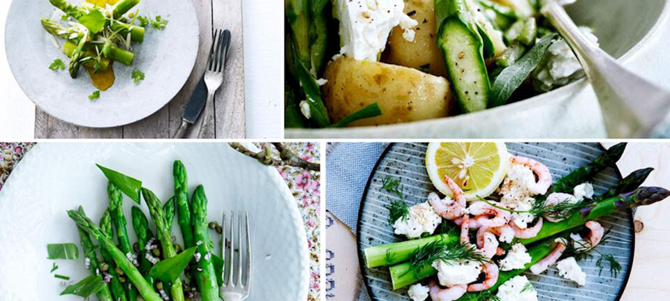 9 lækre forårsretter med grønne asparges
