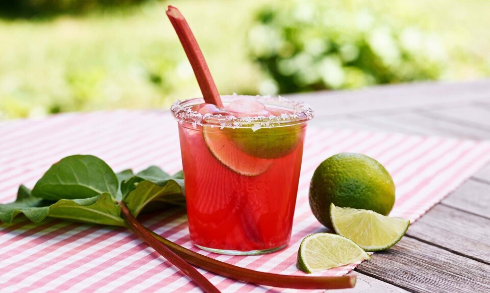 Rabarber-margarita opskrift