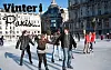 Top 5: Vinteroplevelser i Paris