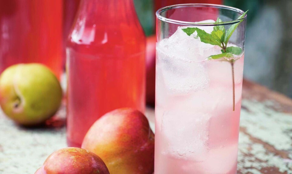 Opskrift på saft af blommer