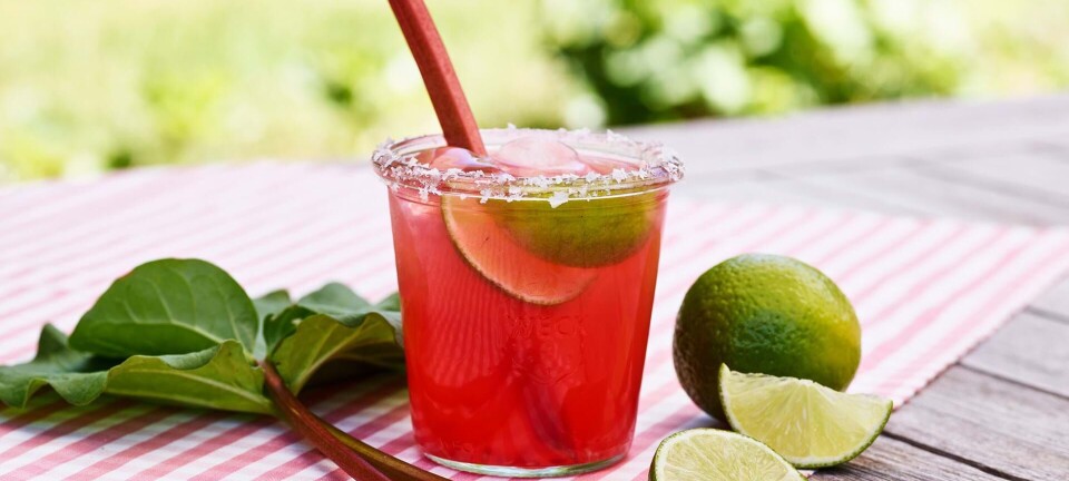 Ny sommerfavorit: Sådan laver du en margarita med rabarber
