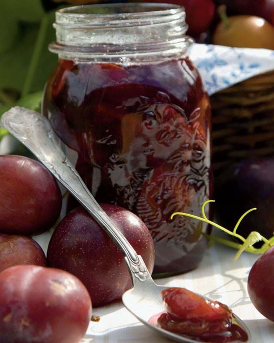 Ovnsyltede blommer i rom