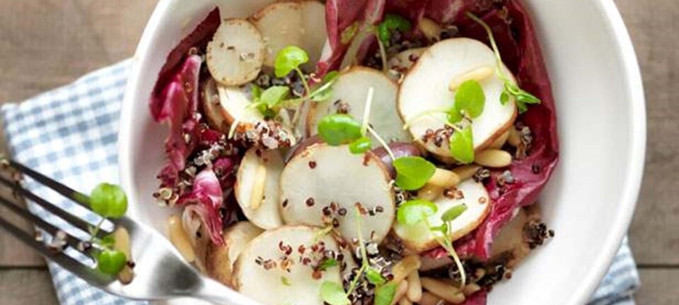 Quinoasalat med rå jordskokker