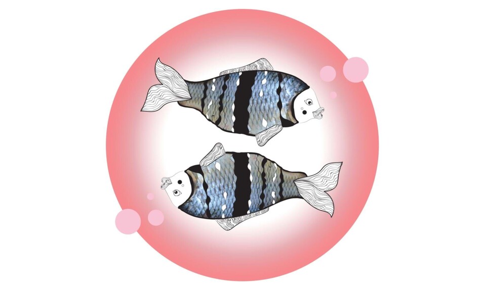 Sådan er fiskebarnet