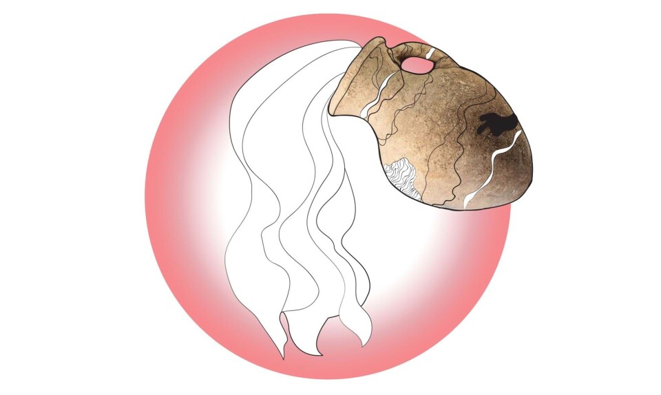 Sådan er vandbærerbarnet