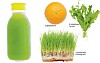 Revitaliserende juice med hvedegræs