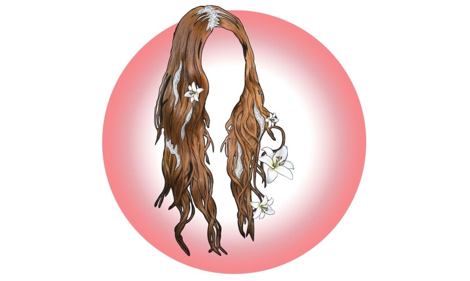 Sådan er jomfrubarnet