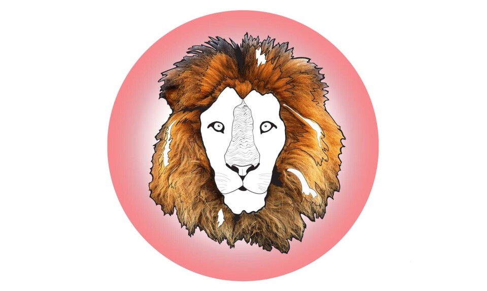 Sådan er løvebarnet