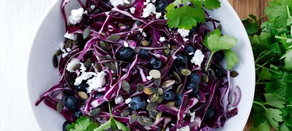 Rødkålssalat med feta