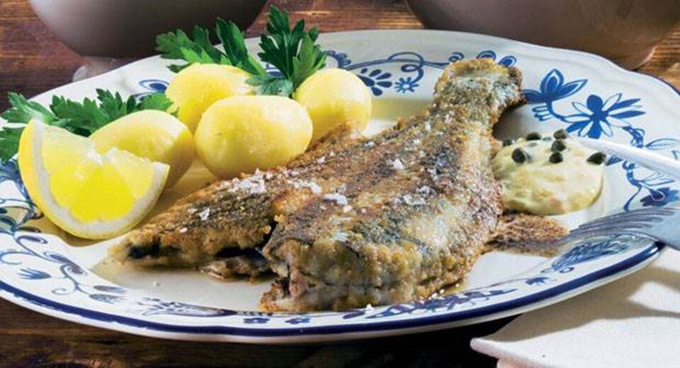 Skrubbe med kartofler og remoulade