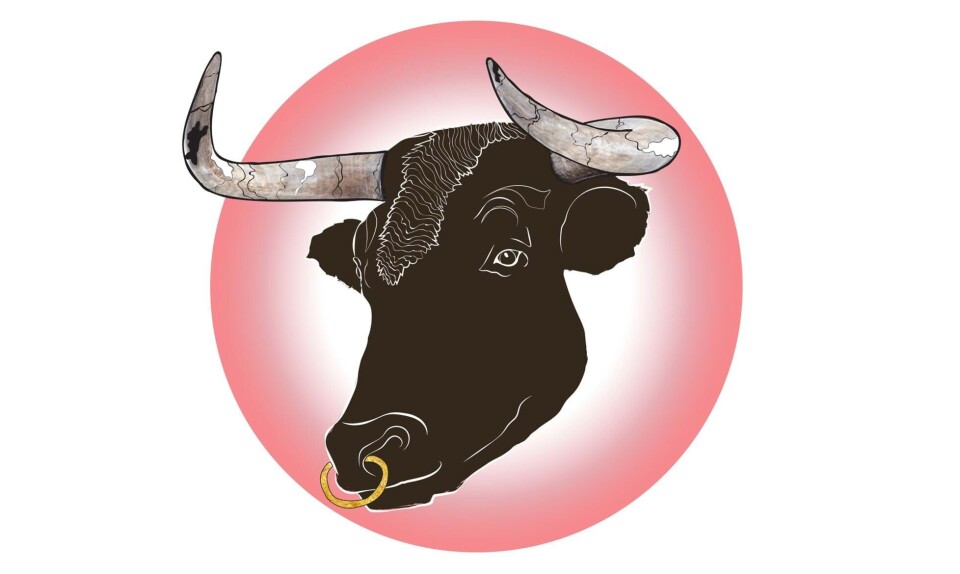 Sådan er tyrebarnet