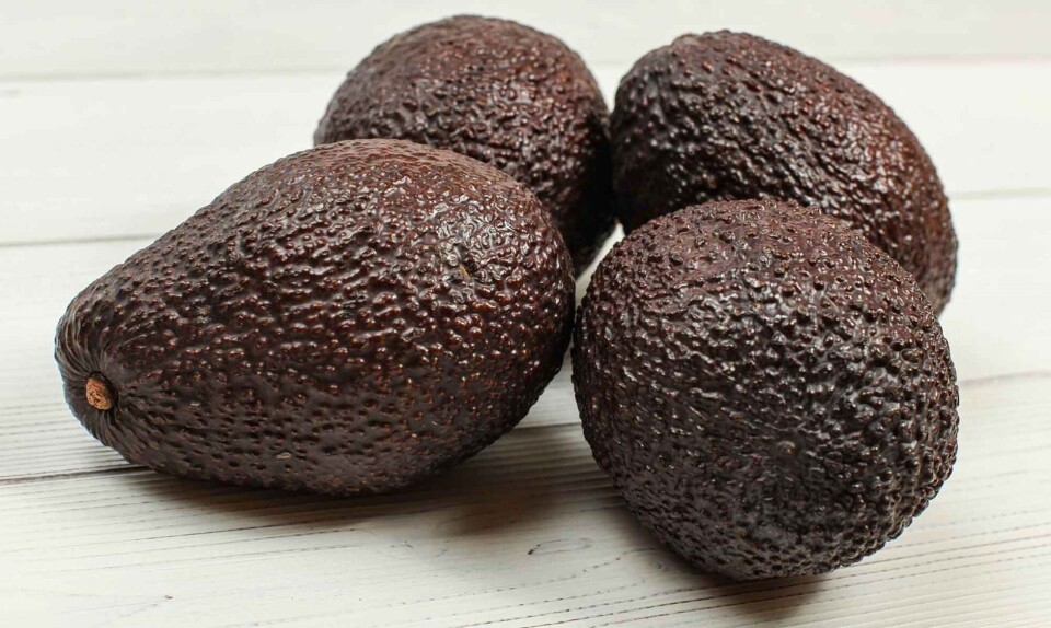 Se her: Sådan skærer du en avocado rigtigt ud 🥑