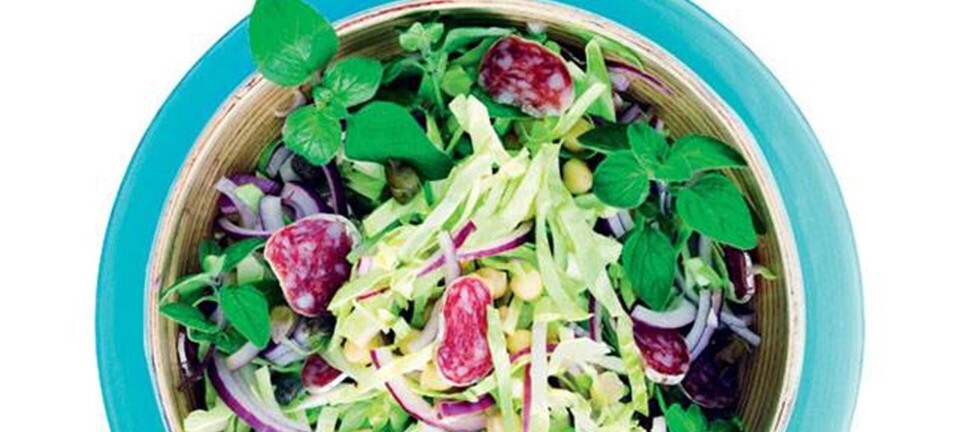 Salat med spidskål & chorizo