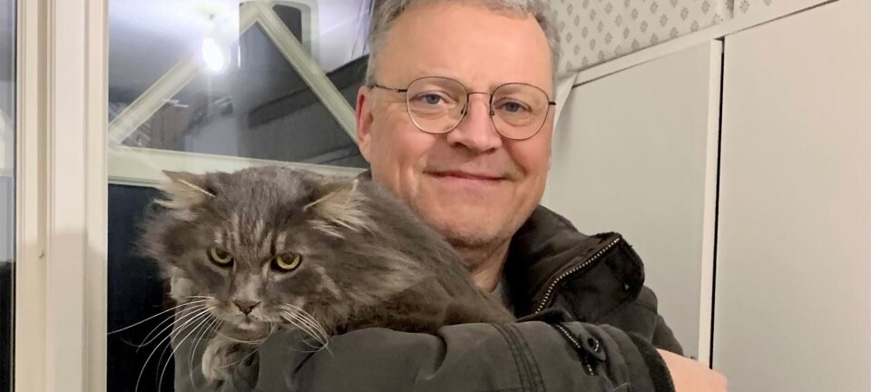 Efter syv år vendte katten Kalle pludselig hjem igen: ”Jeg fik et chok”