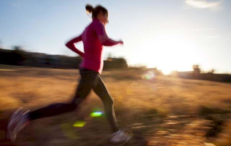 Se løbeprogrammet der får dig fra 5 km til et halvmaraton.