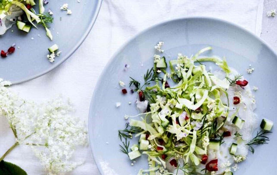 Ceviche med lime, hyldeblomst og spidskål