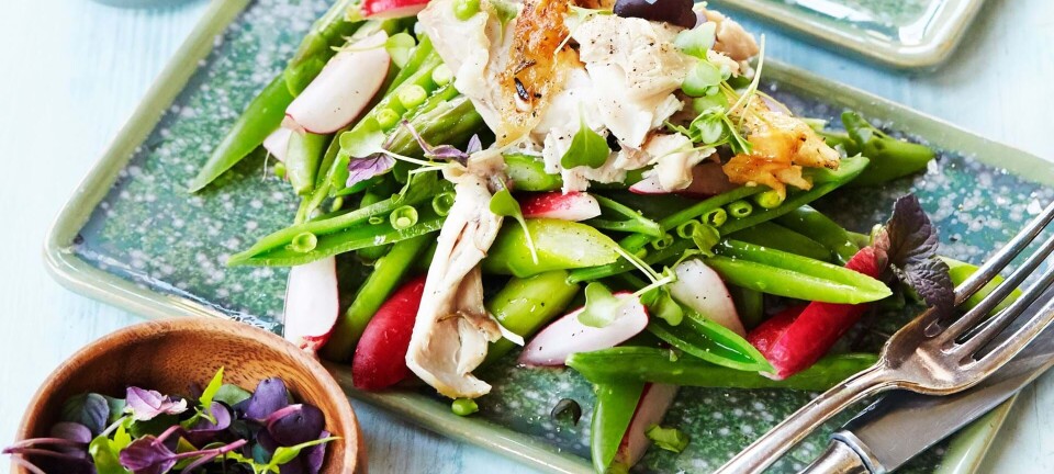 Stegt kylling med sprød salat af sugarsnaps & radiser