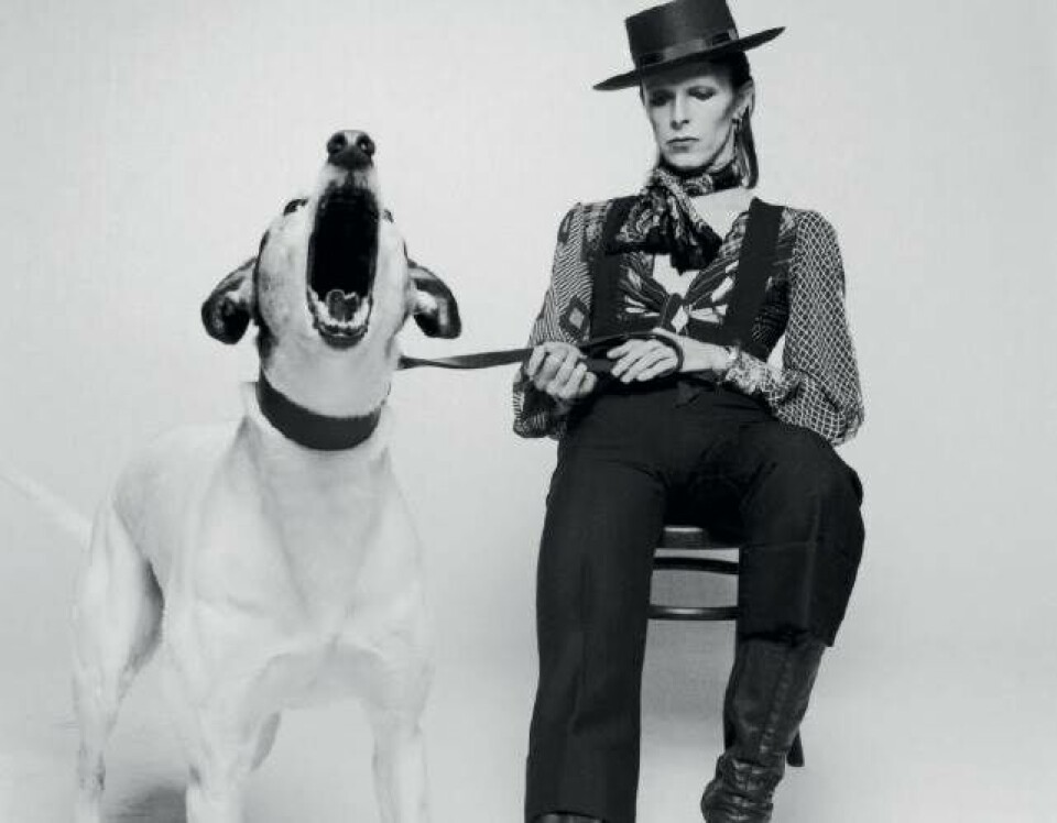 “Alt hvad han udstrålede - det androgyne, kulturel diversitet, glamrock - er blevet absorberet af modeverdenen”