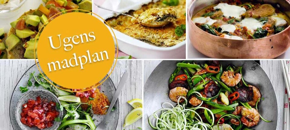 Lækker wokmad med rejer, parmesanstegt kylling & pasta al forno: Her er ugens madplan til dig