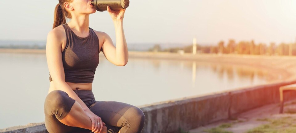 Sportsdrik & proteinbar: Er de overhovedet nødvendige for din træning?