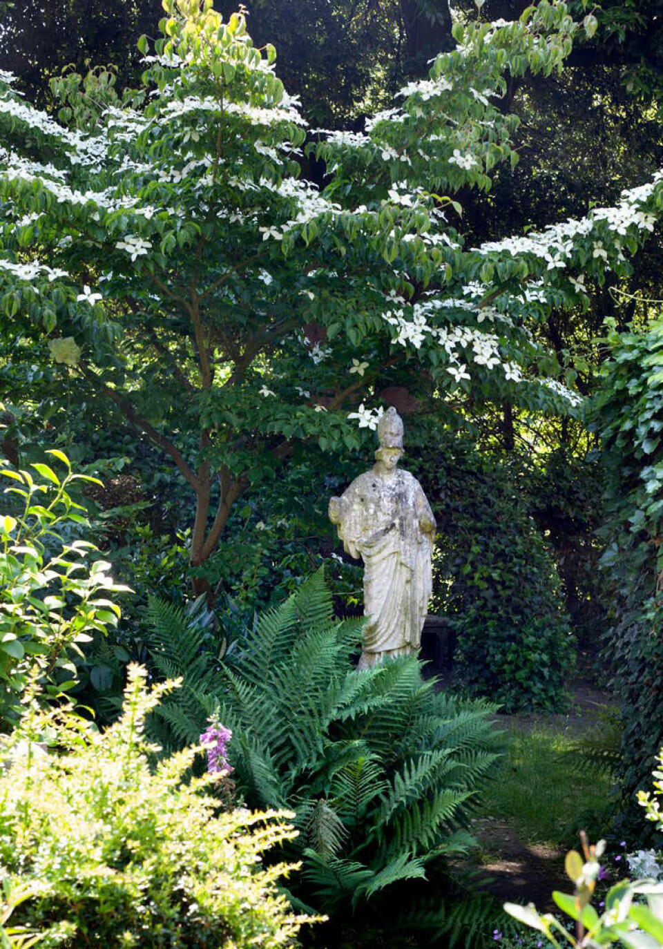 Bregner er gode stemningsgivere som her i et meditativt parti med en statue og en blomstrende koreakornel.