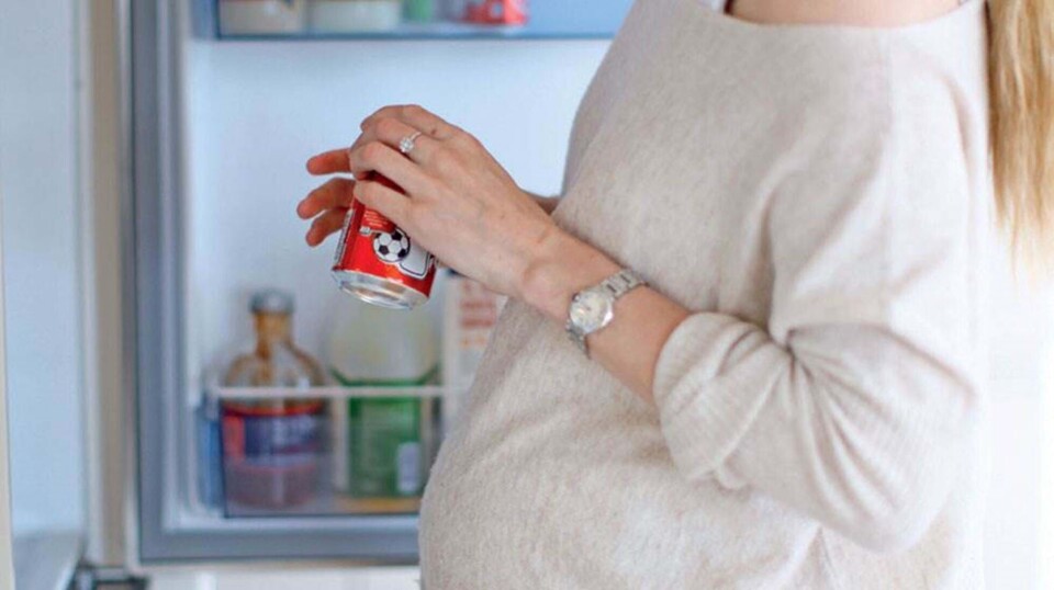Gravid