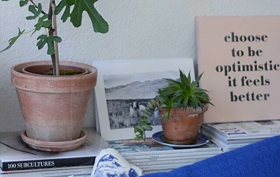 Tendens: Derfor ser du planteprint overalt