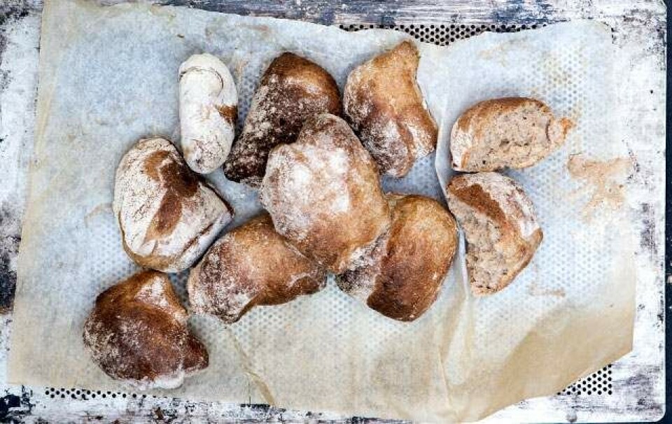 Madredaktøren anbefaler: Kom med i brødhimlen