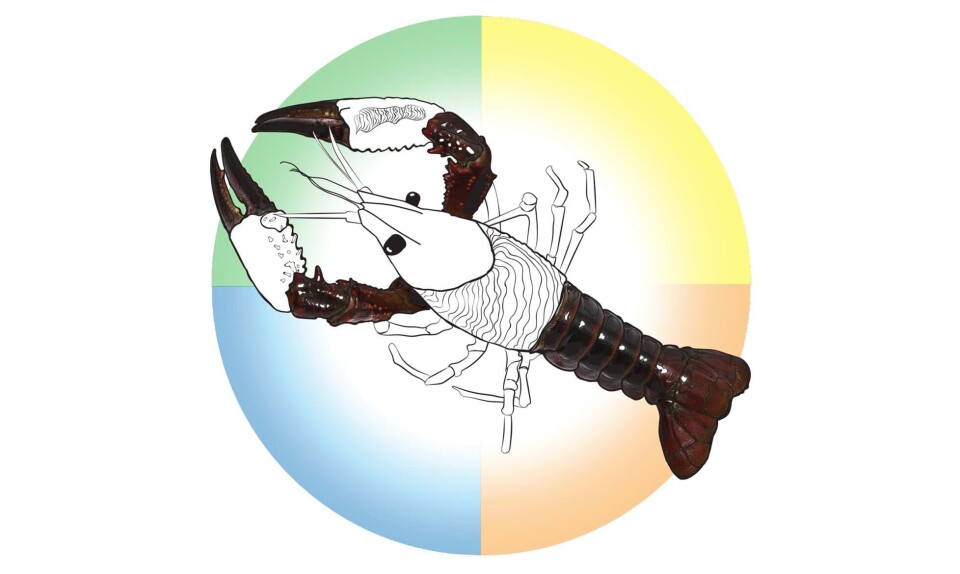 Årshoroskop 2025 for Krebsen