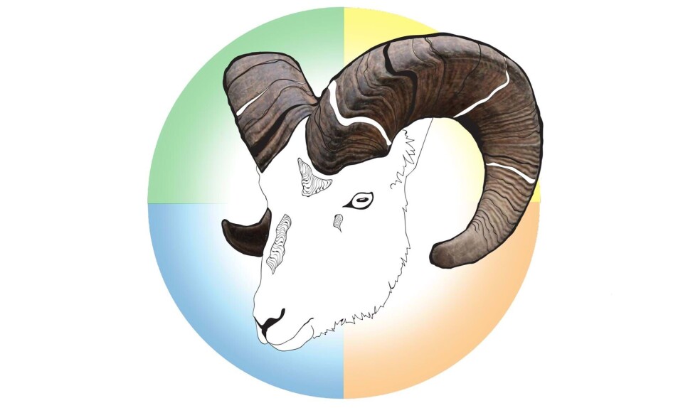 Årshoroskop 2025 for Vædderen