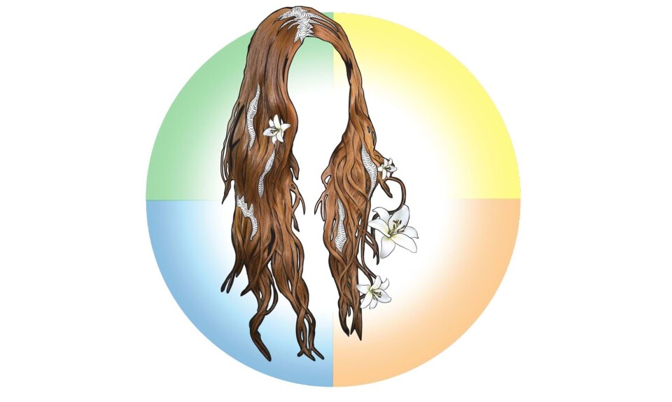 Årshoroskop 2025 for Jomfruen