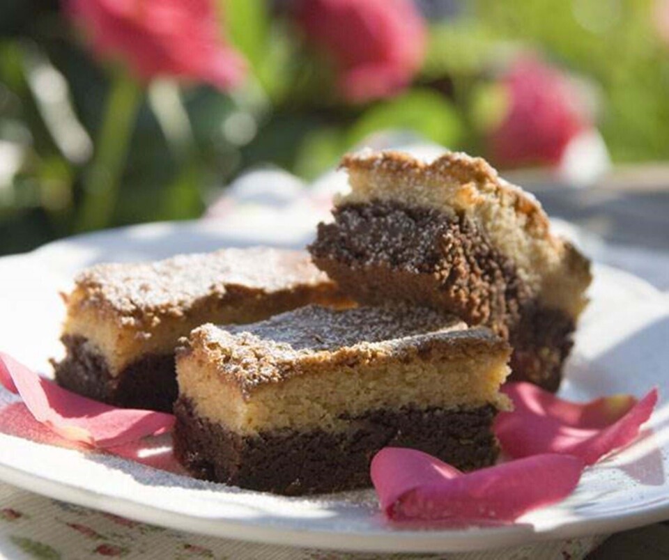 Brownie i to lag