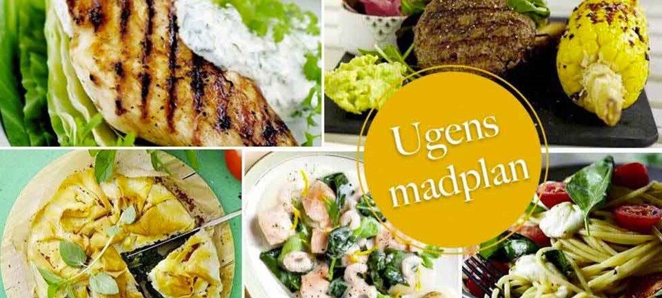 Nem pasta, lækre burgere & limekylling med spidskål: Her er ugens madplan til dig