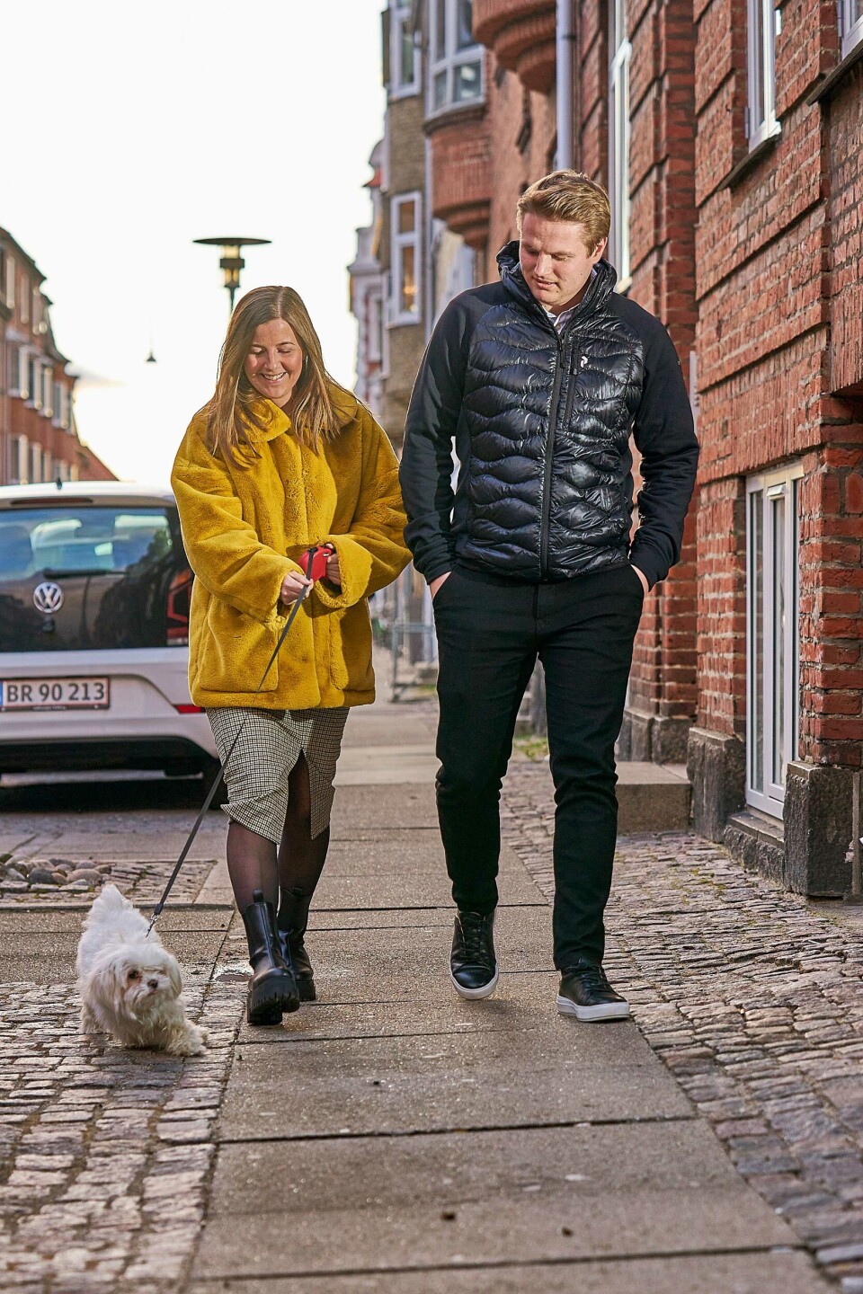 Hund.jpg