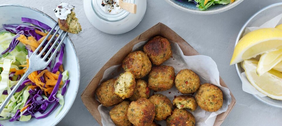 Falafel med kålsalat