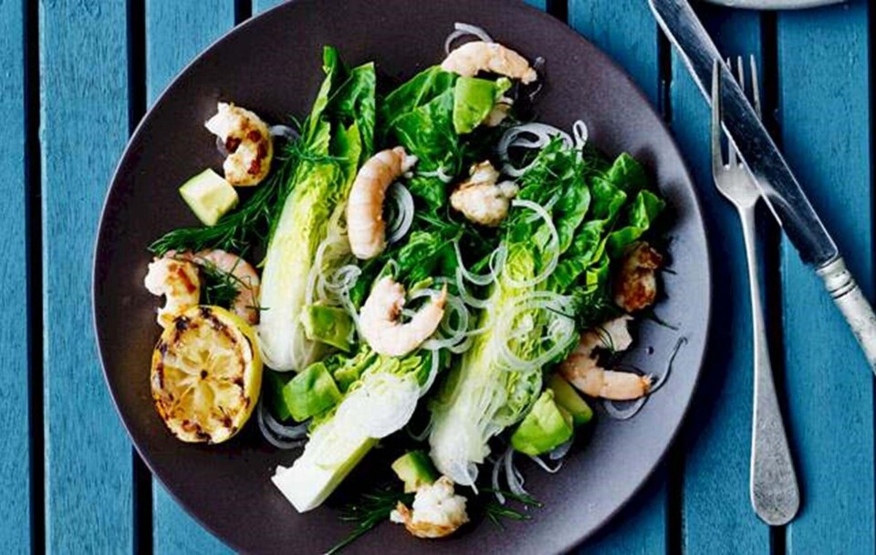 Salat med skaldyr